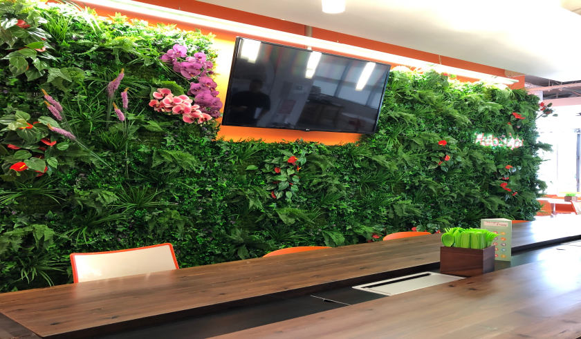 plant wall office