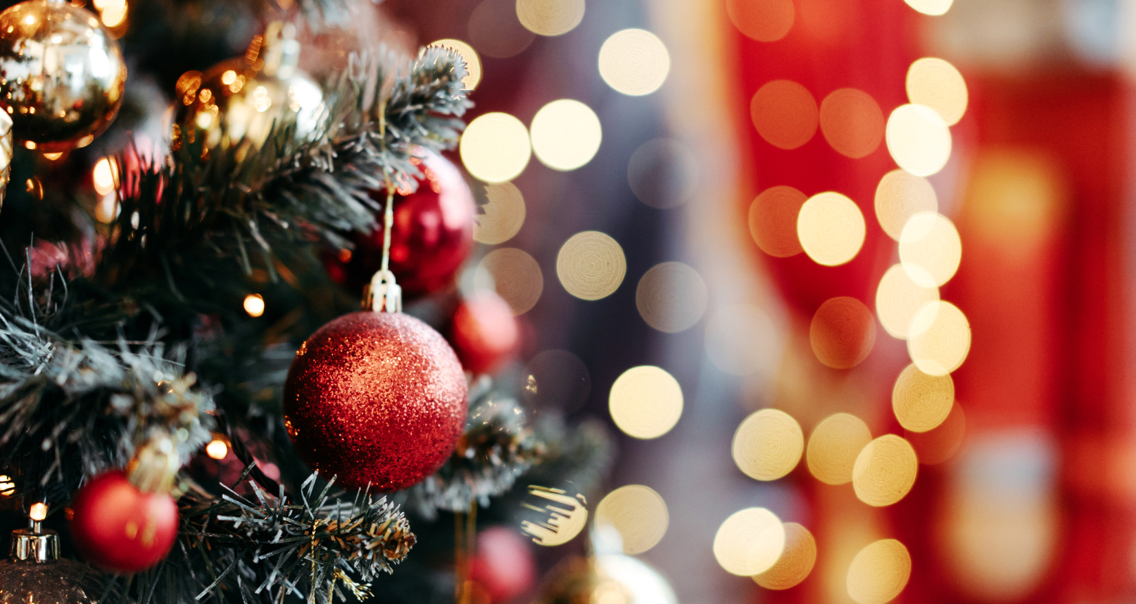‘Tis the Season to Be Seen