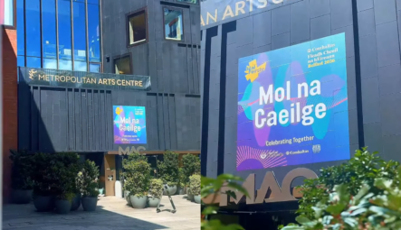 Helping Bring the Fleadh to Life Across Belfast