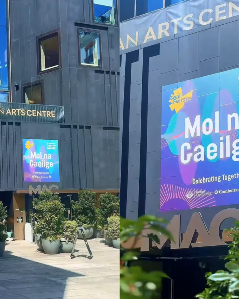 Helping Bring the Fleadh to Life Across Belfast
